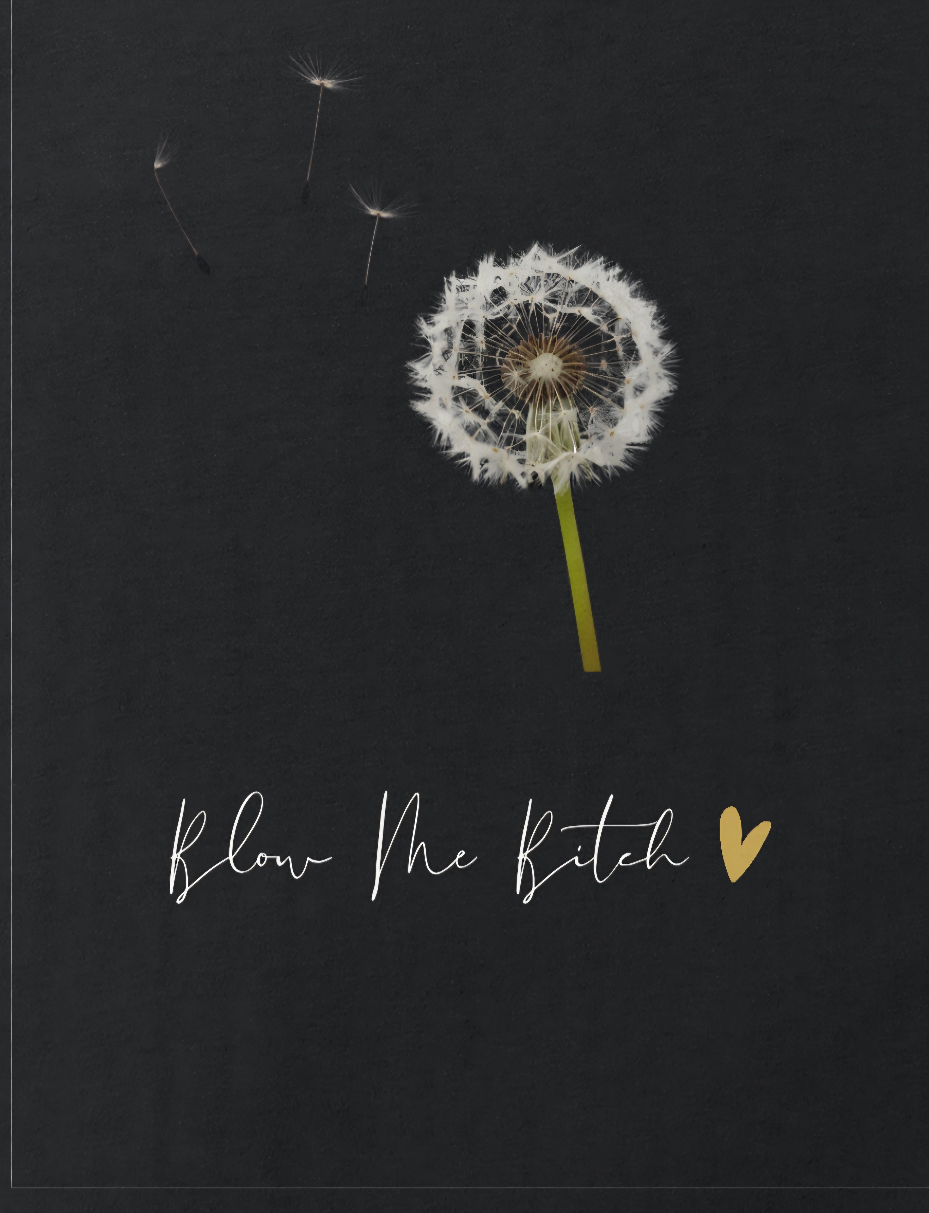 Blow Me Bitch Dandelion Graphic Tee
